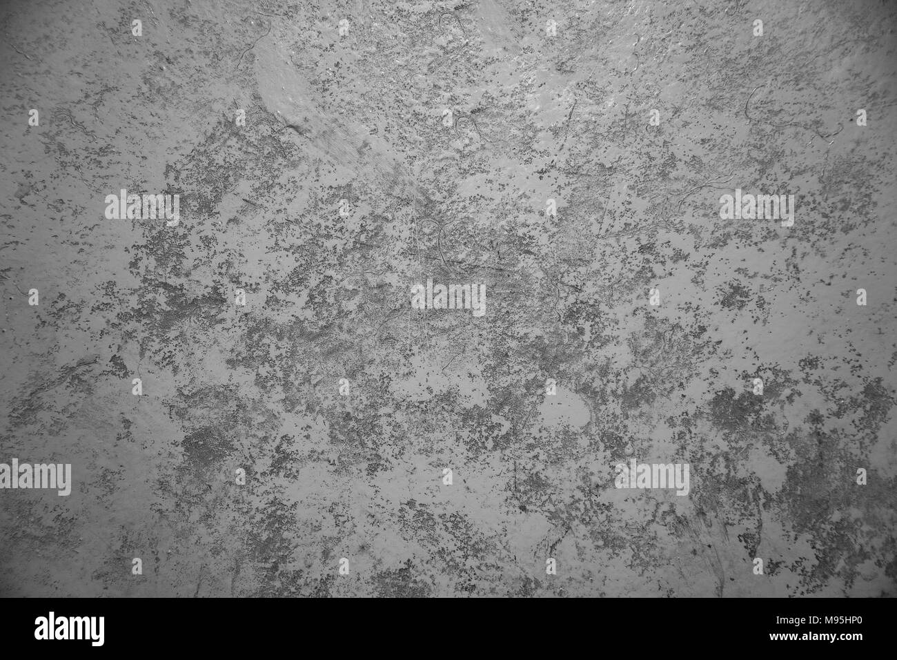 Squallido vernice bianca su legno Foto Stock