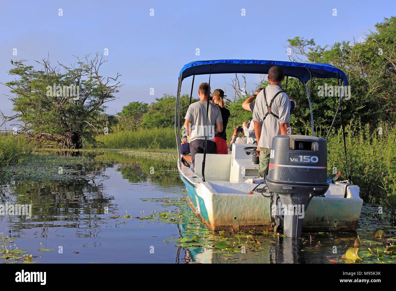 I turisti godendo di un inizio di mattina Birdwatching Trip (spotting un Osprey) sulla laguna a Crooked Tree Wildlife Sanctuary, Belize Foto Stock