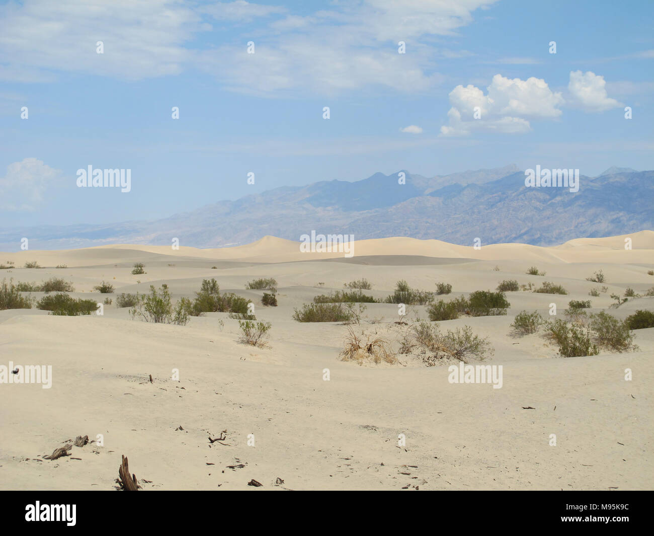 Dune di sabbia al parco nazionale della Valle della Morte. Tubo da stufa di pozzi, California-Nevada, STATI UNITI D'AMERICA. Foto Stock