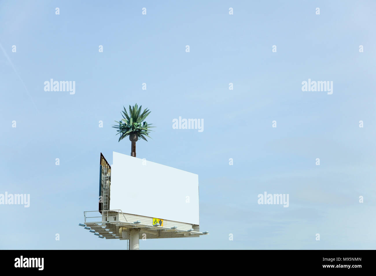 Tabellone vuoto con Palm Tree Foto Stock