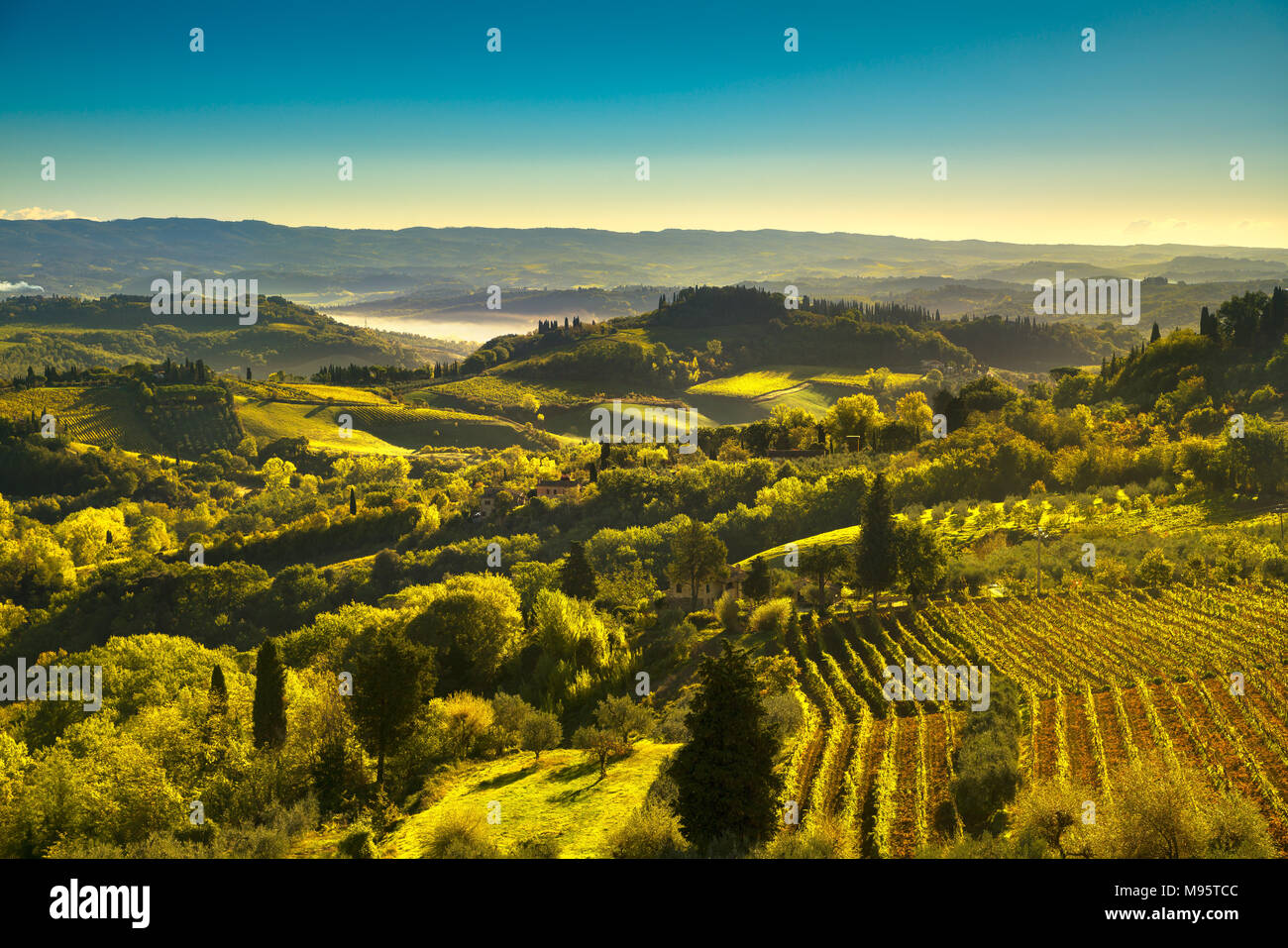 Vista panoramica della campagna e chianti vigneti di Vernaccia di San Gimignano su sunrise. Toscana, Italia, Europa. Foto Stock