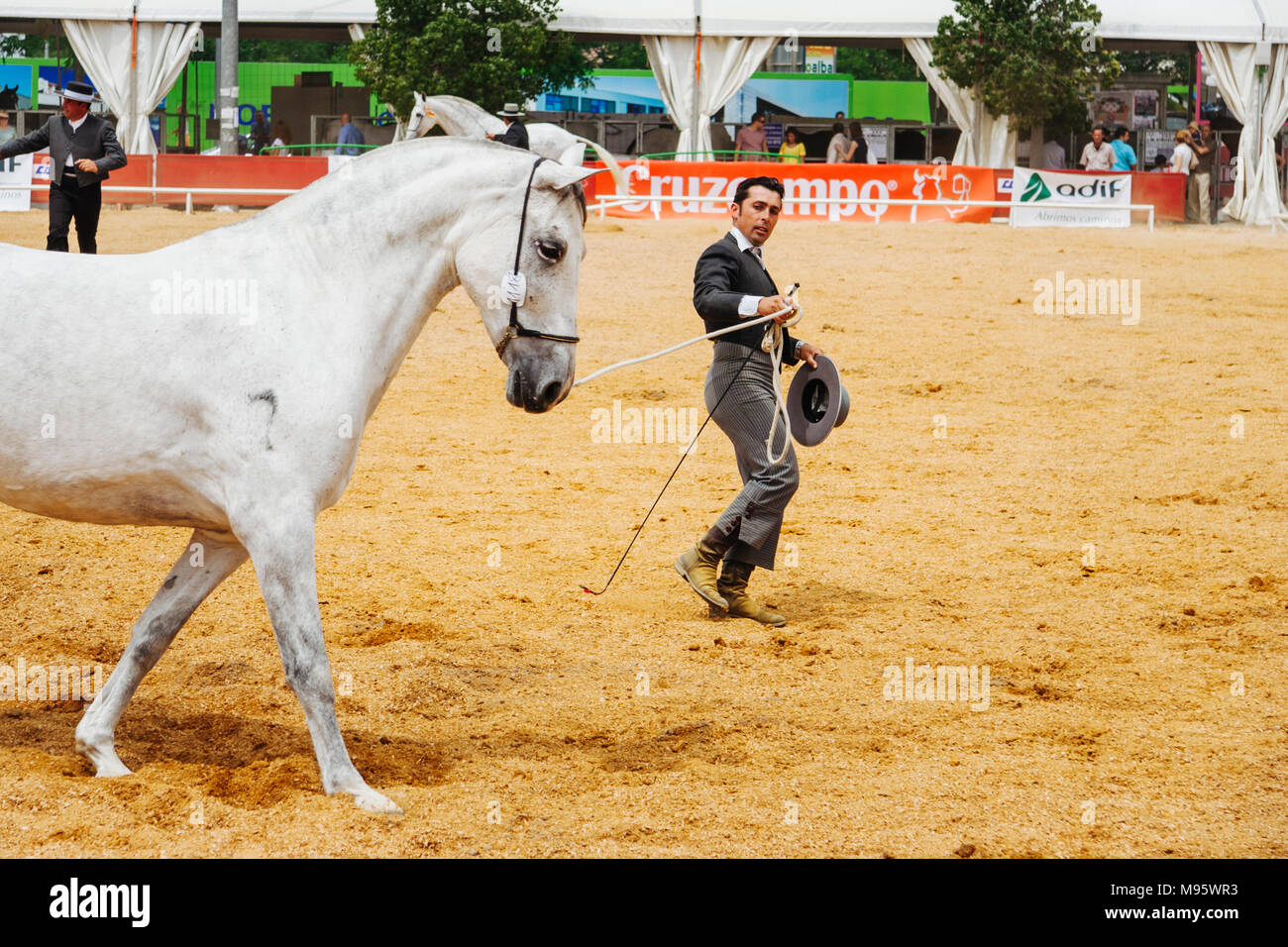 Cordoba, Andalusia, Spagna : cavaliere andaluso che presenta il suo purosangue mare a Cordoba Fiera Cavalli. Foto Stock