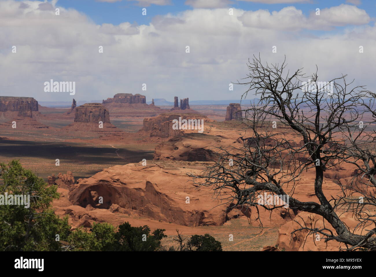 Una struttura ad albero e Monument Valley da caccia Mesa Foto Stock
