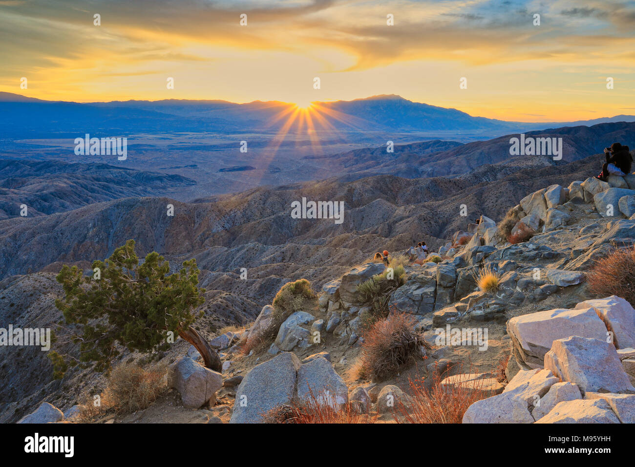 Raggiera vista al tramonto dal punto di chiavi a Joshua Tree, affacciato sulla valle di Coachella Foto Stock