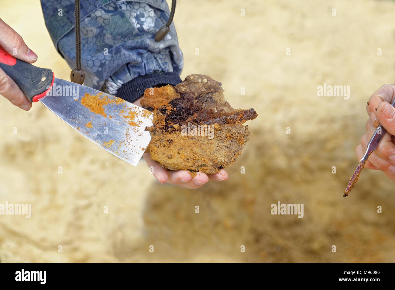 Le mani di archeologi si trasmettano reciprocamente un raro trovare dell'età del ferro. Coltello di bronzo kulai cultura bloccato in pezzi di legno marcio. Rimosso da Foto Stock