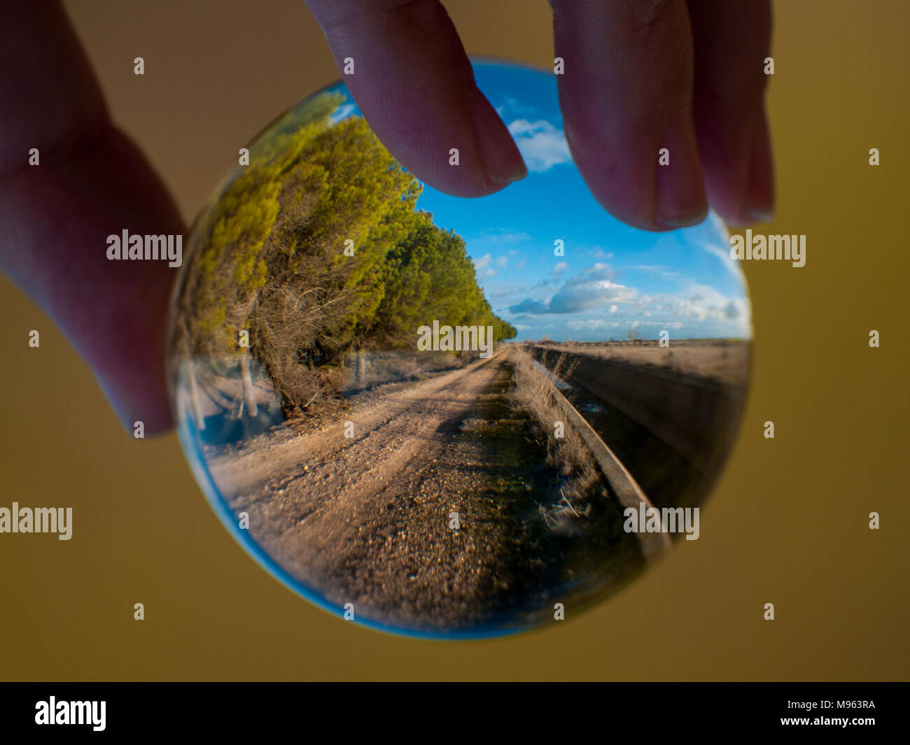 Donna mano azienda sfera di vetro con vista panoramica della campagna e cielo blu/ concetto per l ambiente Foto Stock