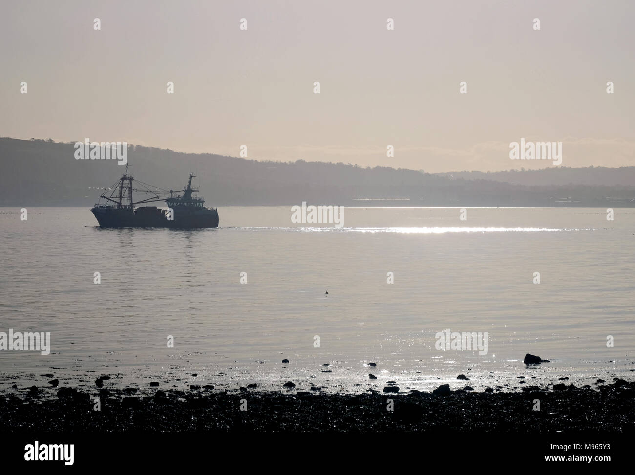 Crostacei trawler su Belfast Lough Foto Stock