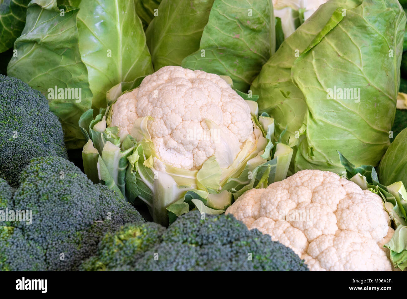 Freschi cavolfiori, broccoli e cavoli Foto Stock