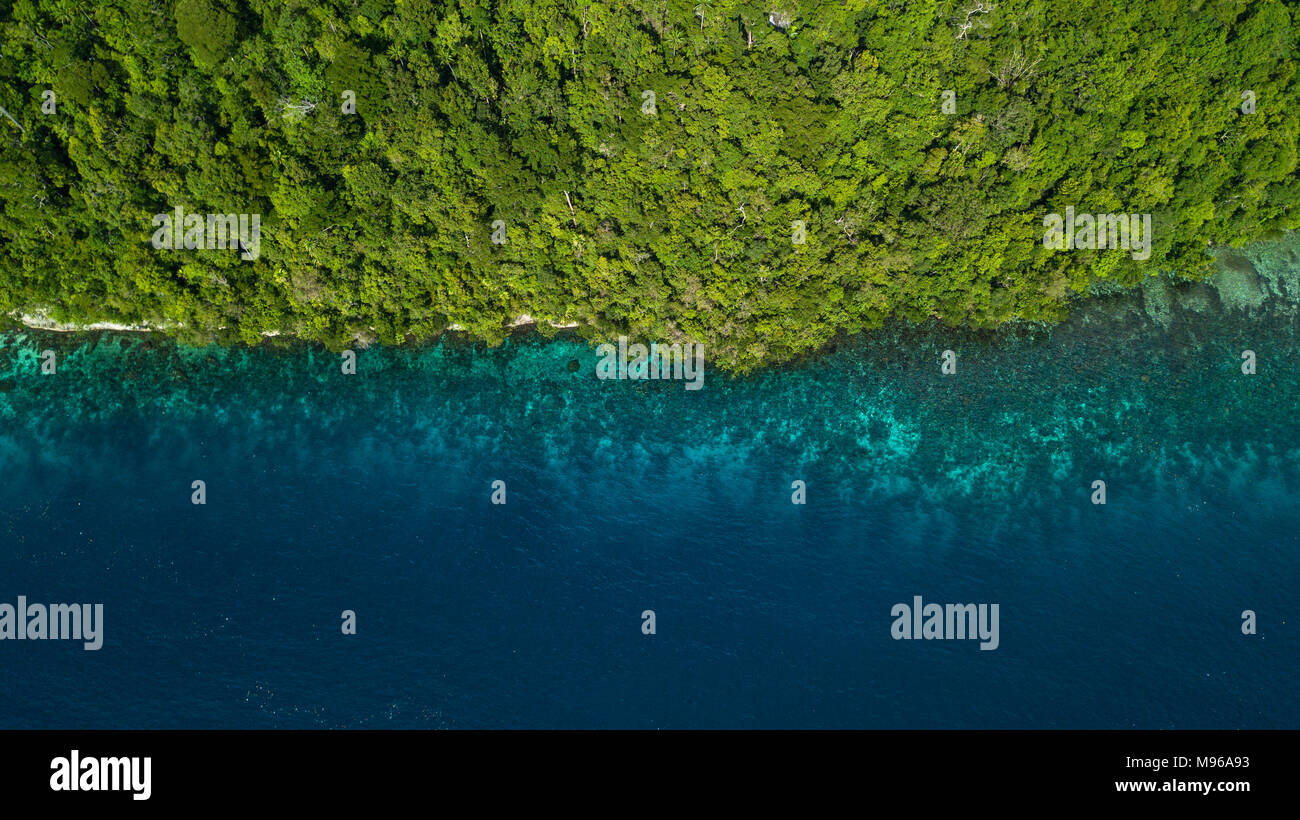 Un drone foto guardando in giù su un verde lussureggiante foresta tropicale accanto ad un blu azzurro Coral reef in Aljui Bay, Waigeo Raja Ampat Marine Park, Indonesia. Foto Stock