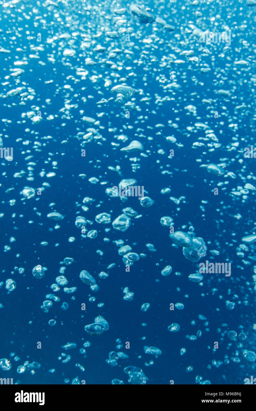 Foto subacquee di bolle che salgono dal profondo alla superficie, con chiare acque blu dietro. Raja Ampat Marine Park, Papua occidentale, in Indonesia. Foto Stock