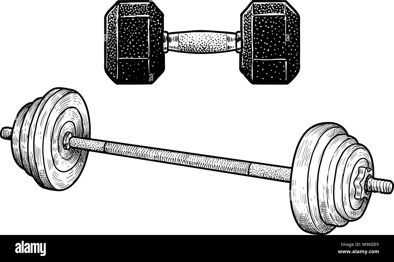 Dumb-bell di illustrazione, disegno, incisione, inchiostro, line art, vettore Illustrazione Vettoriale