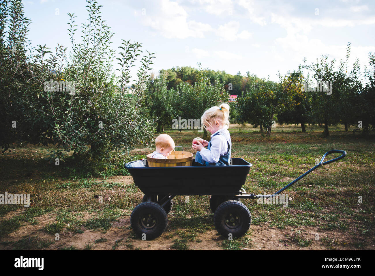 Ragazza e baby sitting in carro Orchard Foto Stock