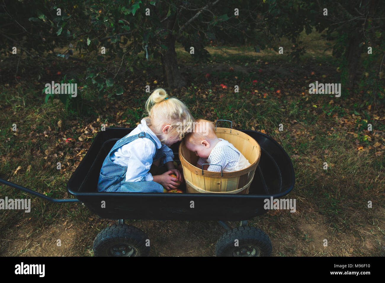 La ragazza e il bambino insieme in cesti di Orchard Foto Stock