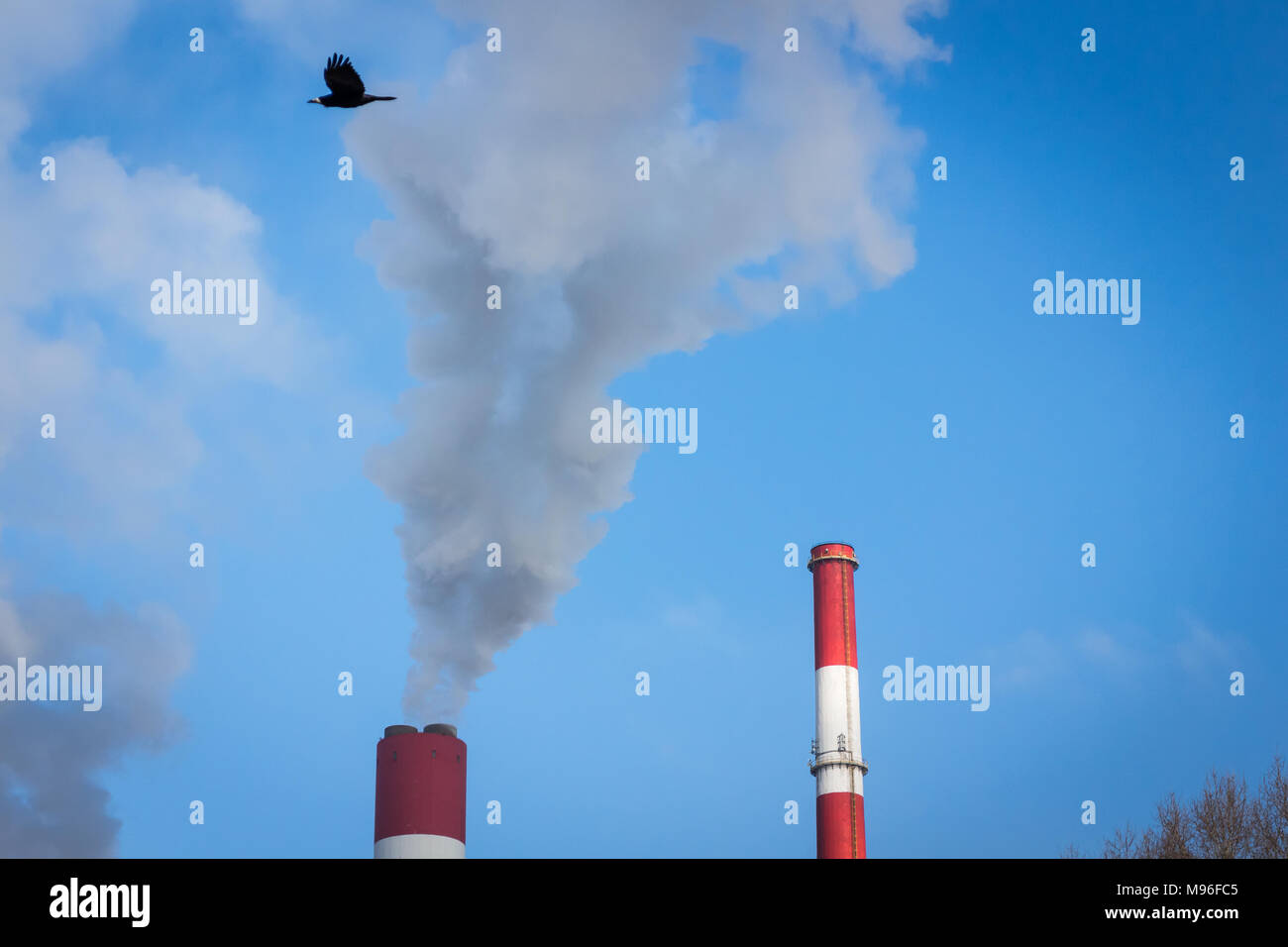 La stazione di alimentazione con due pile di fumo e black bird flying inquinamento atmosferico Foto Stock