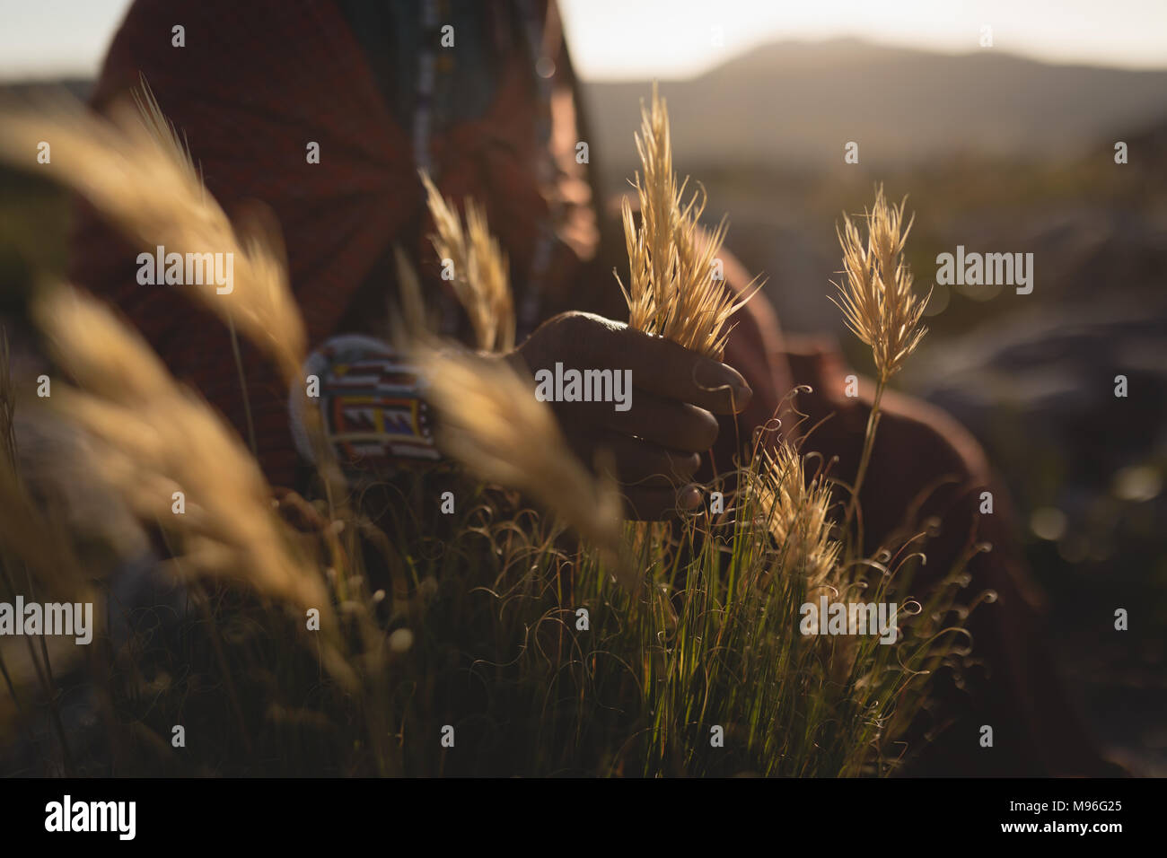 La sezione centrale del uomo Masai erba di contenimento Foto Stock