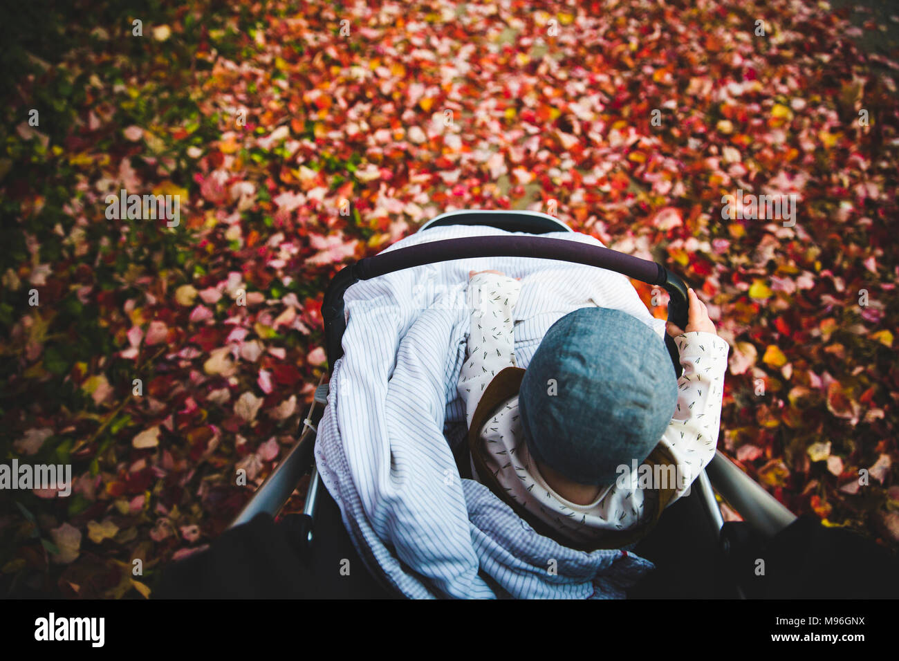 Baby sitting in passeggino intorno a foglie Foto Stock