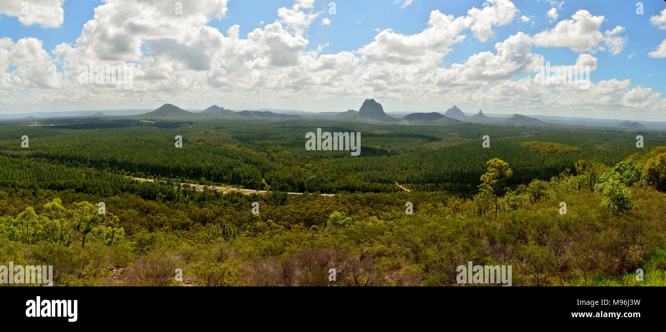 Vista panoramica della casa di vetro montagne attraverso la foresta di pini nel Queensland, in Australia. Foto Stock