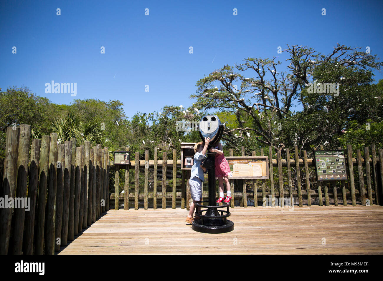 I bambini utilizzando lookout allo zoo Foto Stock