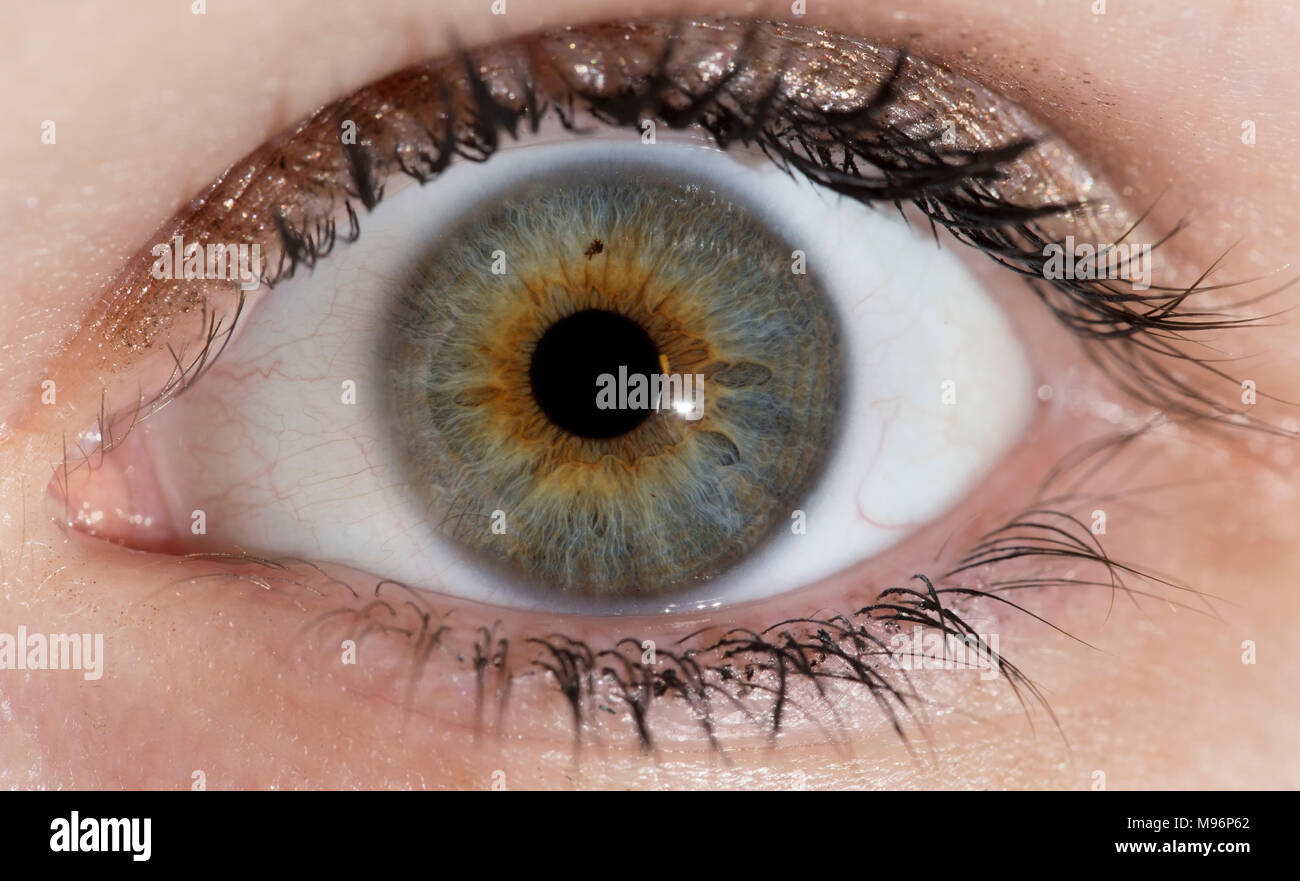 Dettaglio di un occhio umano sorpreso, iride visibile, donna, colori, flash  Foto stock - Alamy