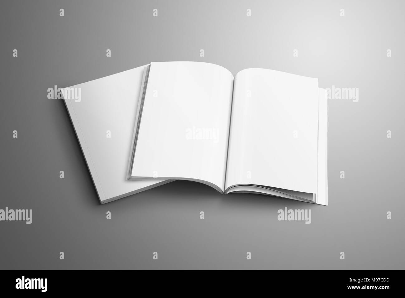 Due sbozzato A4, (A5) riviste con morbide ombre realistiche isolato su sfondo grigio. Uno degli opuscoli è aperta sul secondo opuscolo. Modello Foto Stock