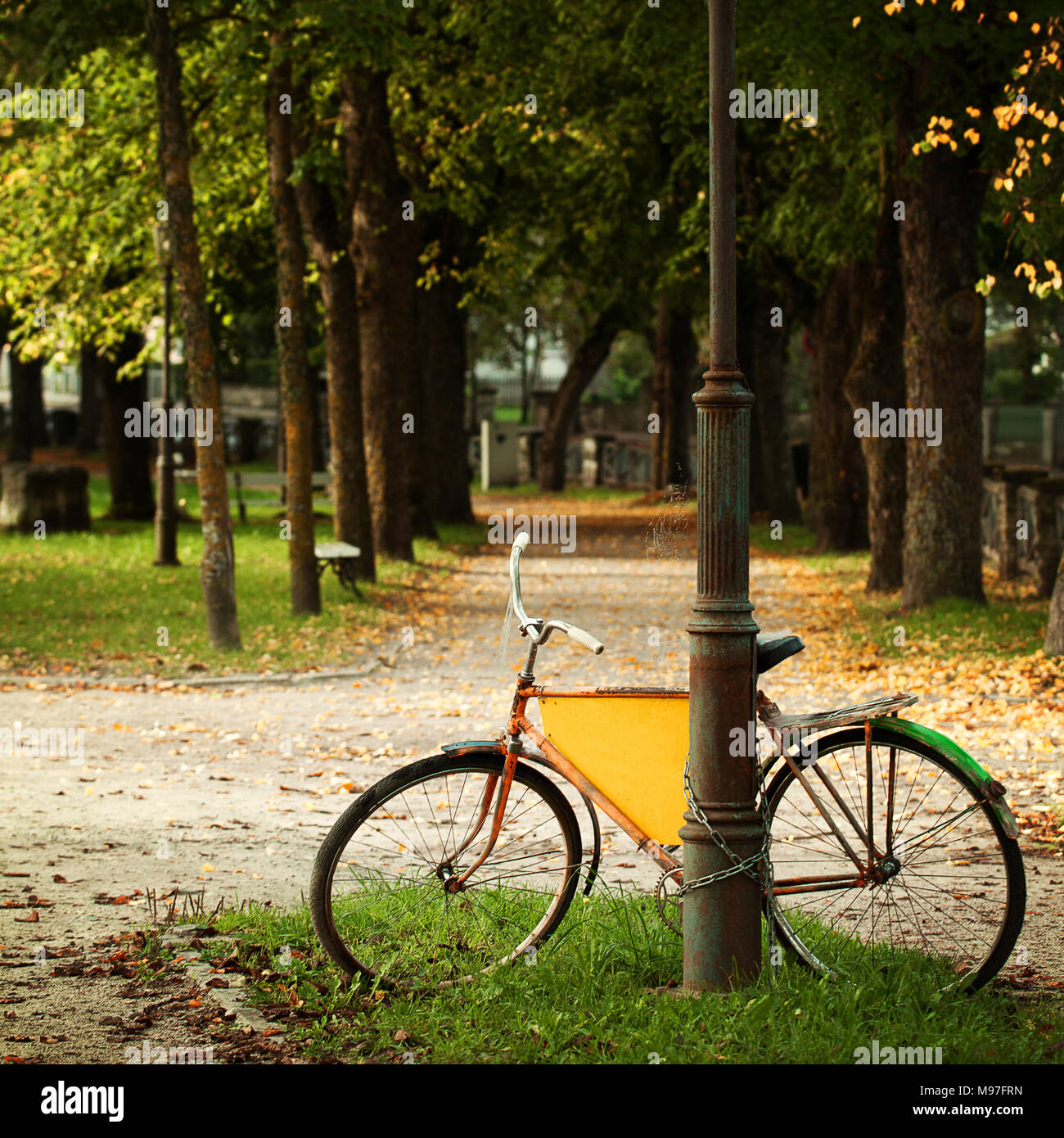 In bicicletta nel parco estone, la cultura europea sullo sfondo della cartolina Foto Stock