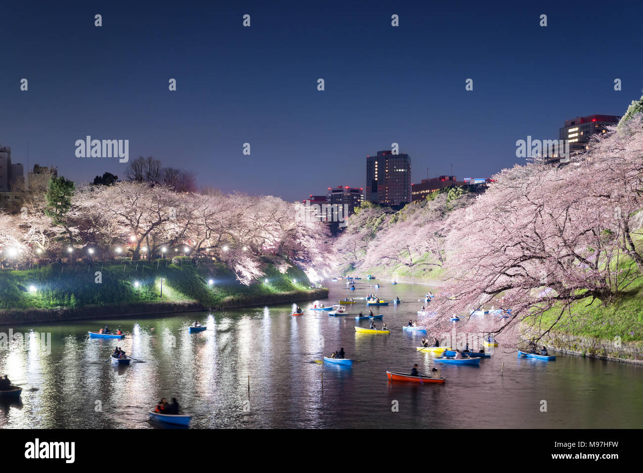 Vista notturna di enorme fioritura di ciliegio con il Tokyo City come sfondo. A Photoed Chidorigafuchi, Tokyo, Giappone. Foto Stock