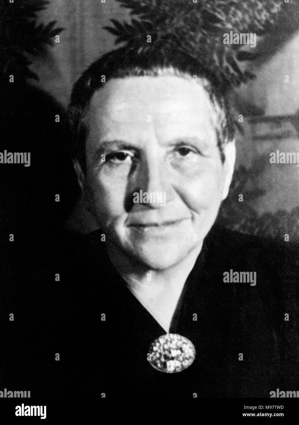Gertrude Stein (1874-1946). Ritratto del romanziere americano e drammaturgo da Carl Van Vechten, c.1934. Foto Stock
