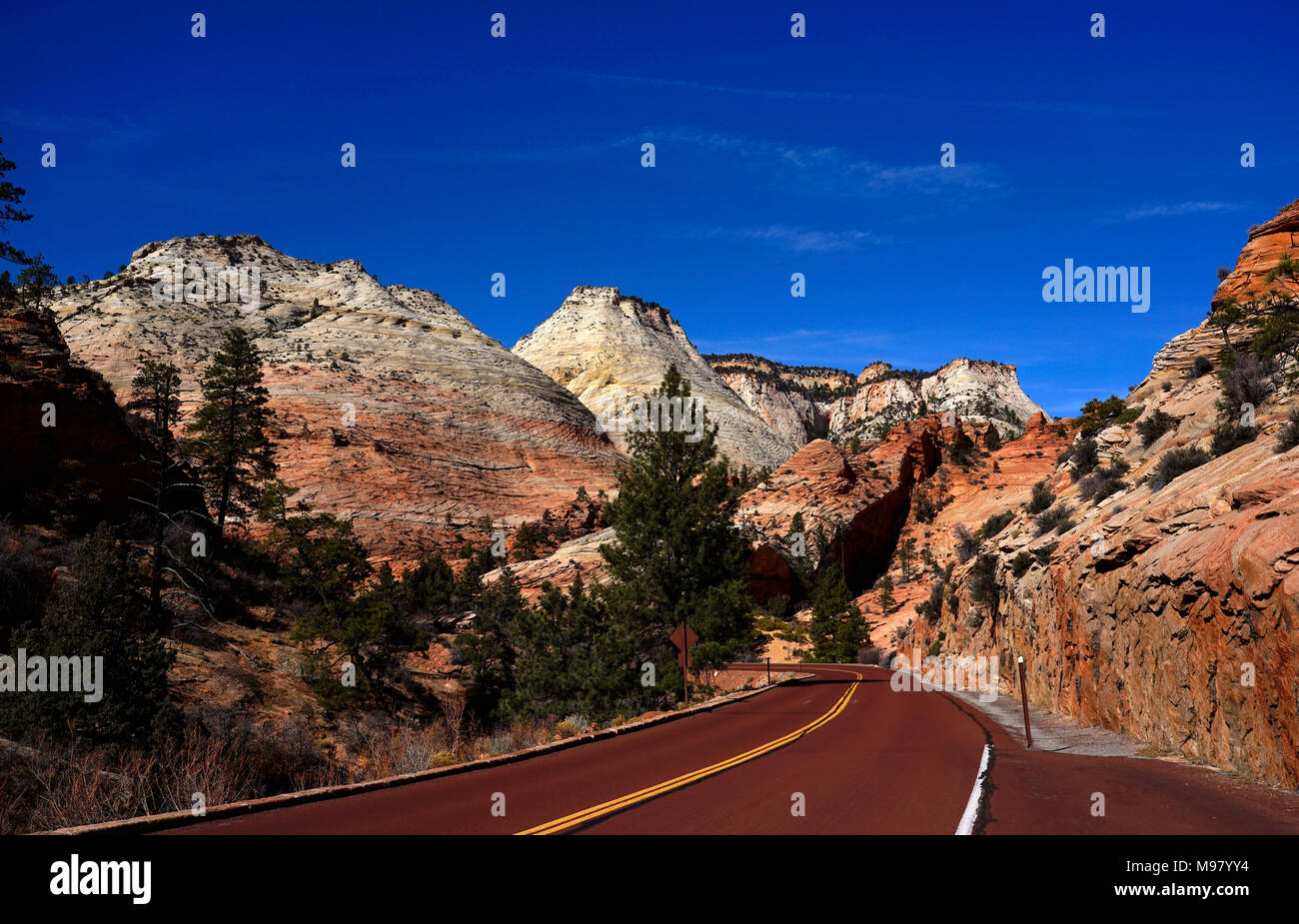 Parco Nazionale di Zion,Utah,l'America,USA Foto Stock