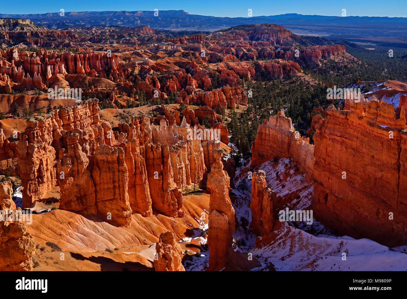 Parco Nazionale di Bryce Canyon,Utah,l'America,USA Foto Stock