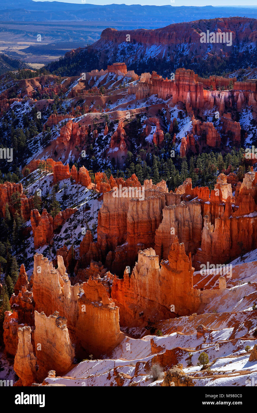 Parco Nazionale di Bryce Canyon,Utah,l'America,USA Foto Stock