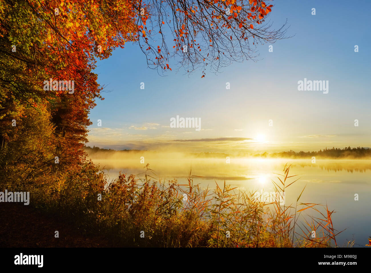 Herbstmorgen am Kirchsee, bei Sachsenkam, Tölzer Land, Oberbayern, Bayern, Deutschland Foto Stock