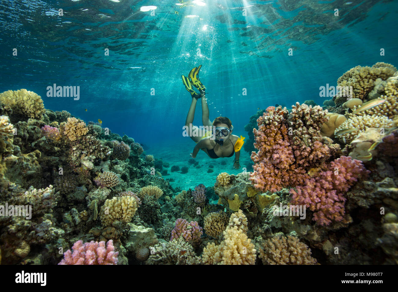 Egitto, Mar Rosso, Hurghada, ragazza adolescente lo snorkeling a Coral reef Foto Stock