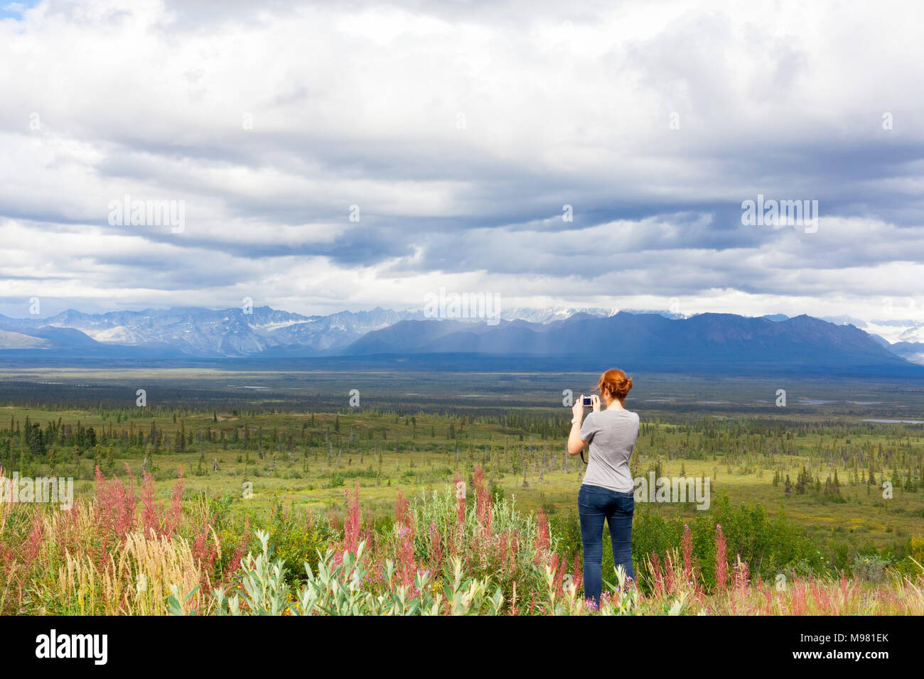 Stati Uniti d'America, Alaska Denali Highway, giovane donna a fotografare il paesaggio Foto Stock