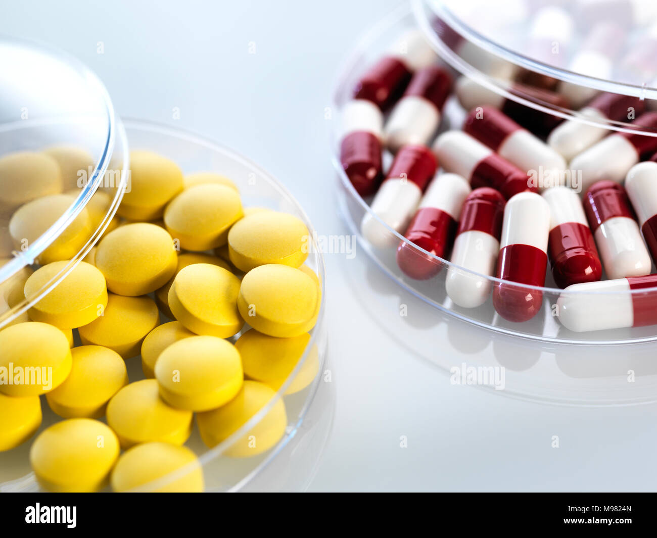 Medicina in capsule di petri Foto Stock