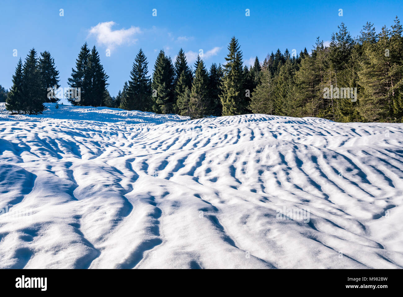 In Germania, in Baviera, Baviera, Garmisch-Partenkirchen, Werdenfelser Land, hump-prato in inverno Foto Stock