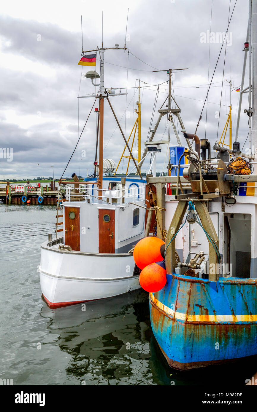 Germania, Schleswig-Holstein, Maasholm, porto di pescatori, barche da pesca Foto Stock