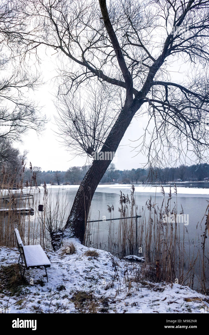 La Germania, il Land Brandeburgo, Havelland, panca di legno in inverno Foto Stock