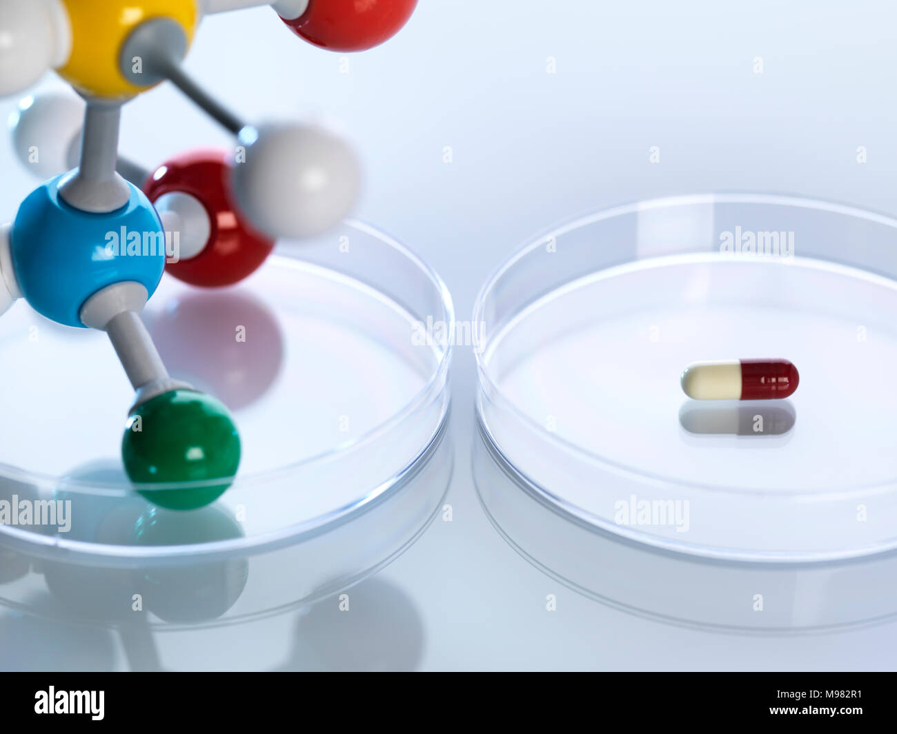 Il modello molecolare accanto a una capsula in capsule di petri Foto Stock