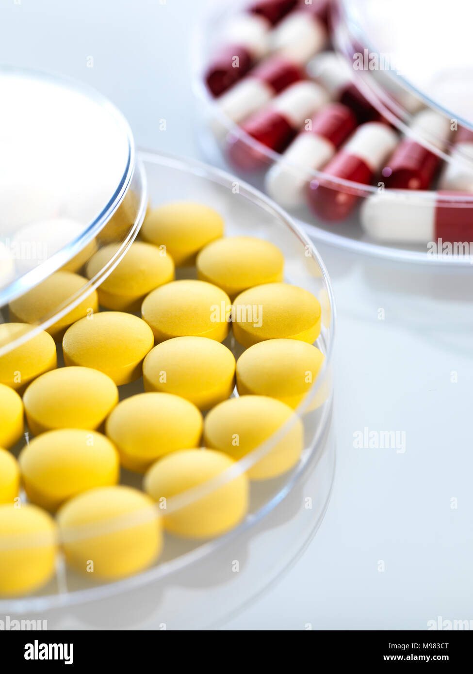 Medicina in capsule di petri Foto Stock