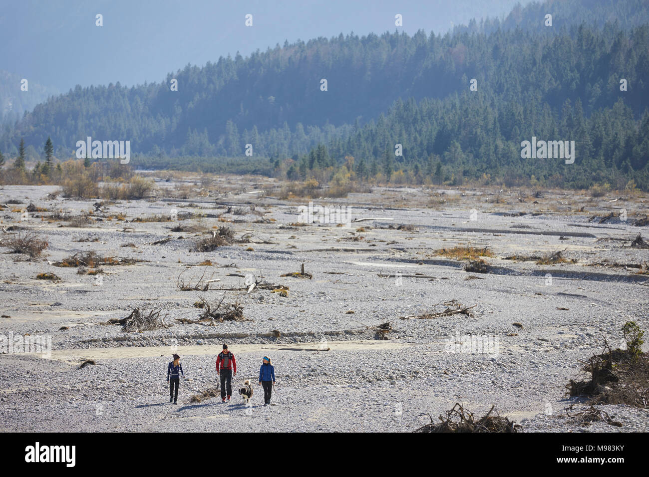 In Germania, in Baviera, Karwendel, gruppo di amici passeggiate con il cane in essiccato riverbed Foto Stock