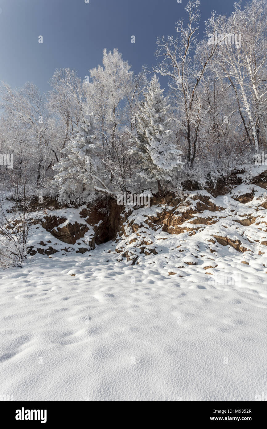 La Russia, Oblast di Amur, coperto di neve e natura Foto Stock