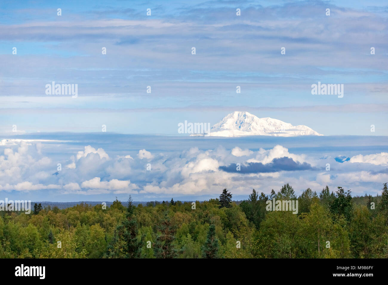Stati Uniti d'America, Alaska, Talkeetna, in vista della cima del monte Denali Foto Stock