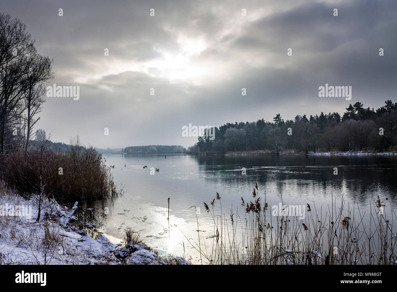 La Germania, il Land Brandeburgo, Havelland, fiume Havel in inverno Foto Stock