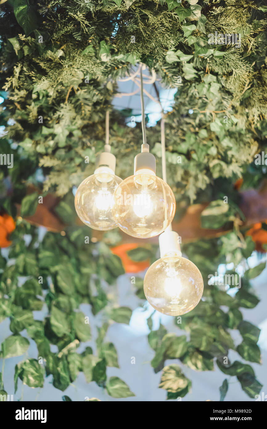 Tre lampadine splendente Foto Stock