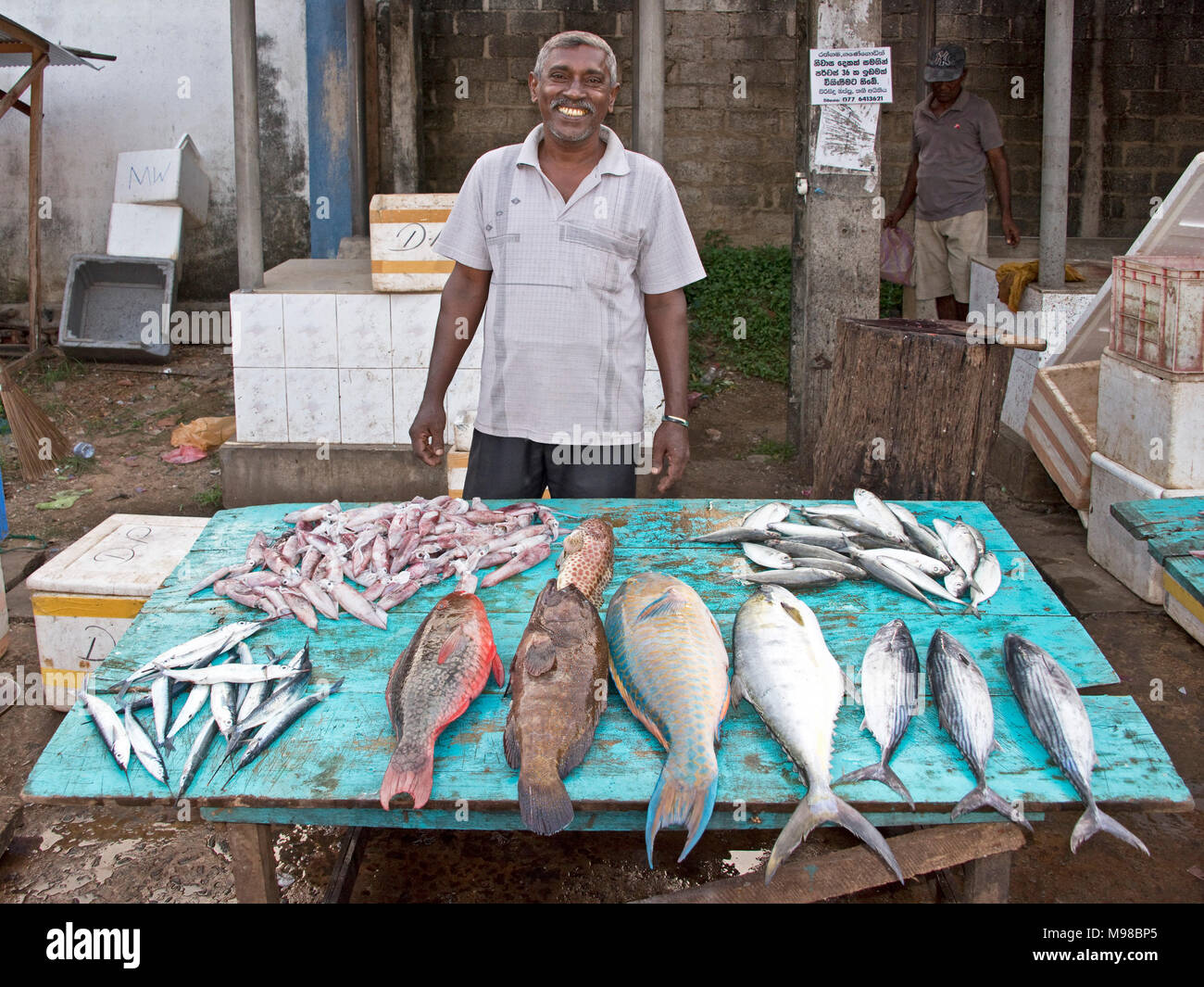 Mercato del pesce in Dodanduwa con un sorridenti local l'uomo maschio di vendita del pesce dal lato della strada. Foto Stock