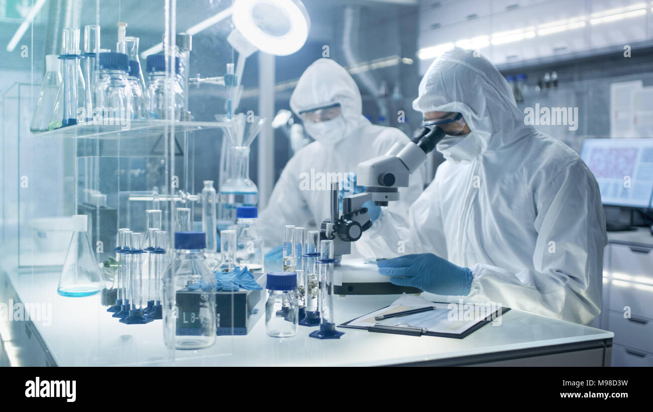 In un luogo sicuro ad alto livello gli scienziati del laboratorio in una tuta da lavoro a condurre una ricerca. Farmacia regola i campioni in piastre Petri con pinze e poi Examins Foto Stock