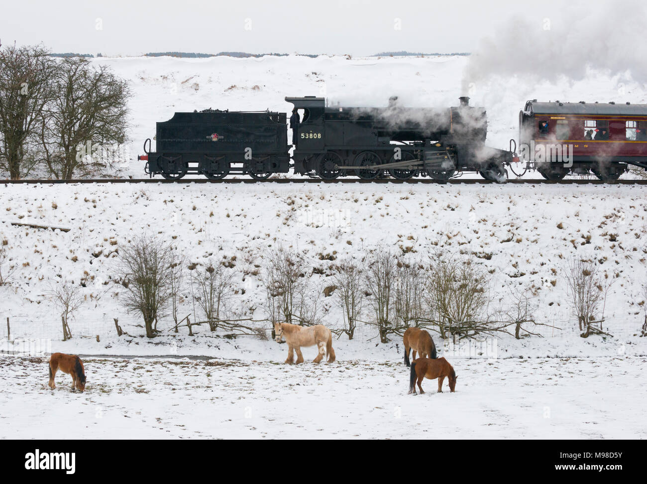 Locomotiva a vapore 53808 in Severn Valley Railway, Shropshire. Foto Stock
