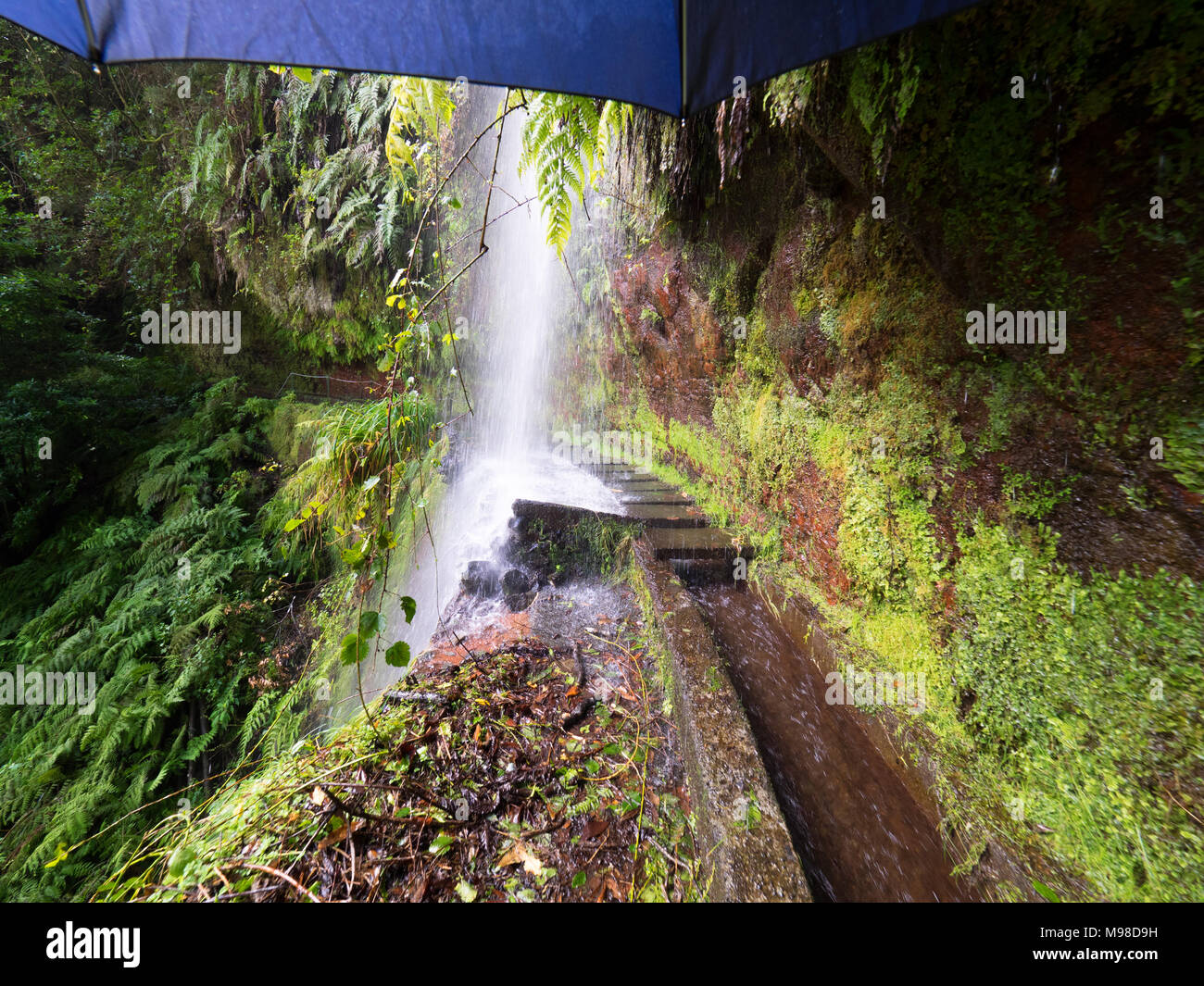 Avvicinando una cascata durante una camminata di levada a Madera Foto Stock