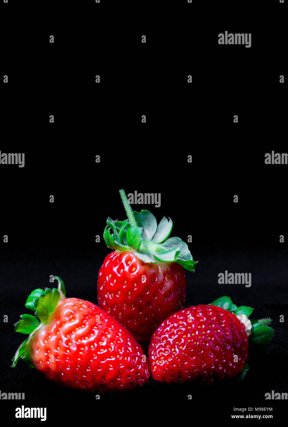 Close-up di tre fragole fresche su uno sfondo nero. direttamente da un giardino di casa Foto Stock