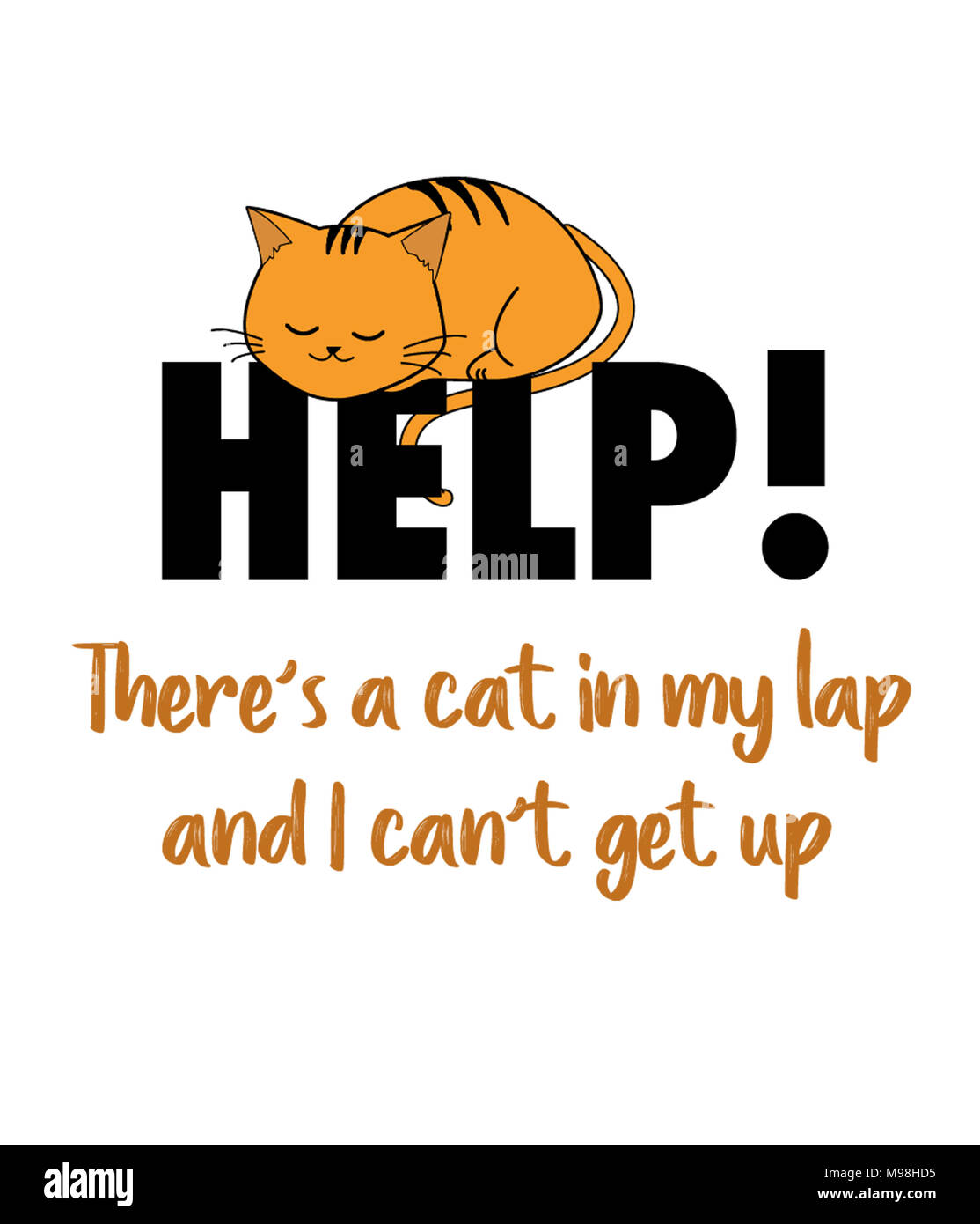 Aiuto! C'è un gatto nel mio giro e non riesco ad arrivare fino Foto Stock